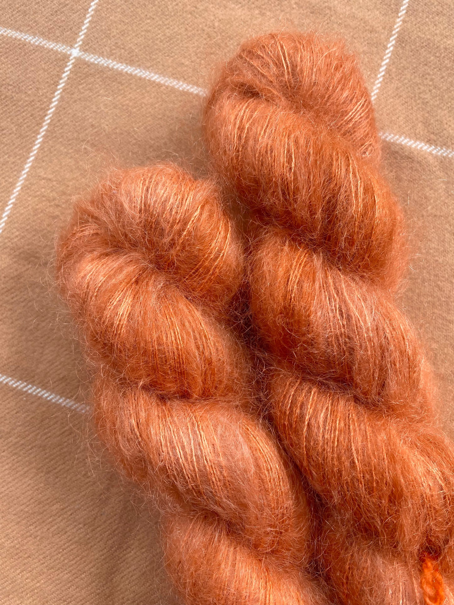 Pumpkin To Talk About